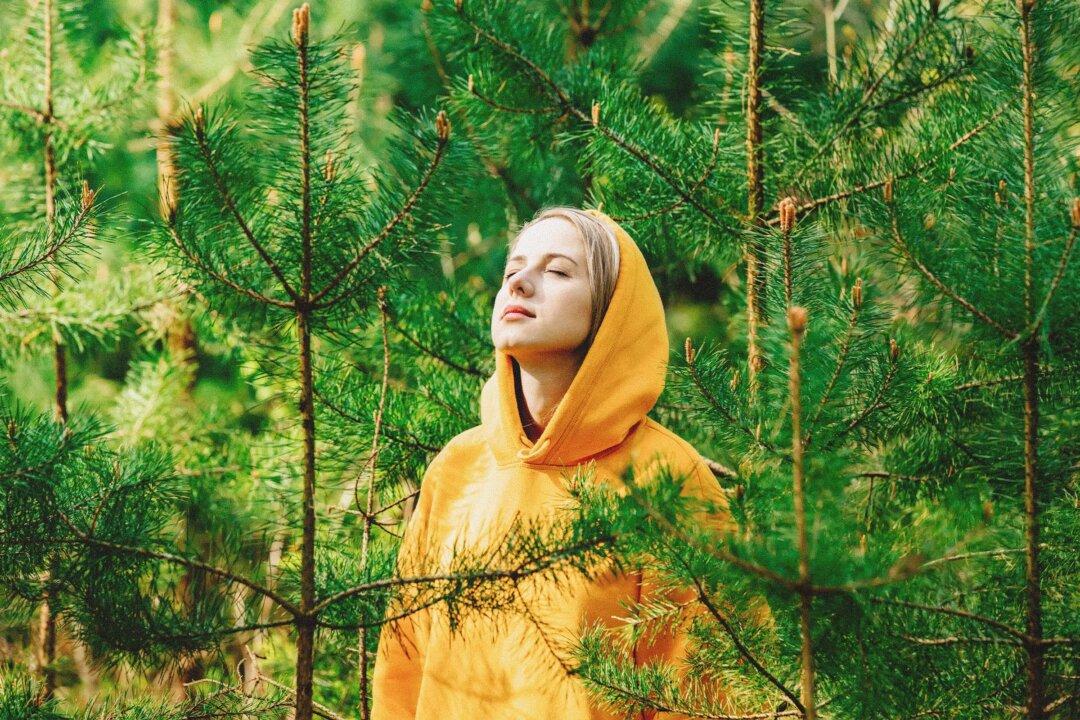 1 Minute of Familiar Nature Sounds Can Boost Your Mood