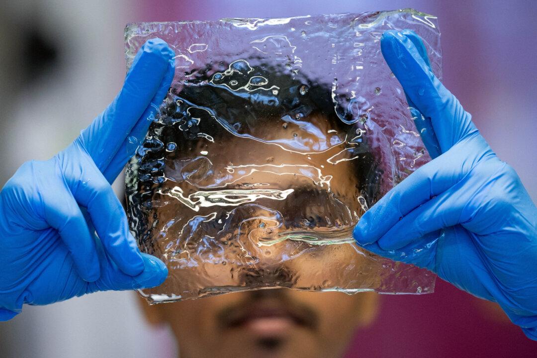 Researcher Akshayakumar Kompa holds a new plastic-like biomaterial derived from shrimp shells created at the Institute for Bioengineering of Catalonia (IBEC) in Barcelona on April 24, 2026. This innovative material, developed from shrimp shells and reinforced with nickel, mimics the functional properties of plastic while offering high resistance to water. Researchers at the center suggest this breakthrough marks the beginning of a new era of biological materials capable of replacing single-use plastics with natural, sustainable alternatives. (Photo by Josep LAGO / AFP via Getty Images)