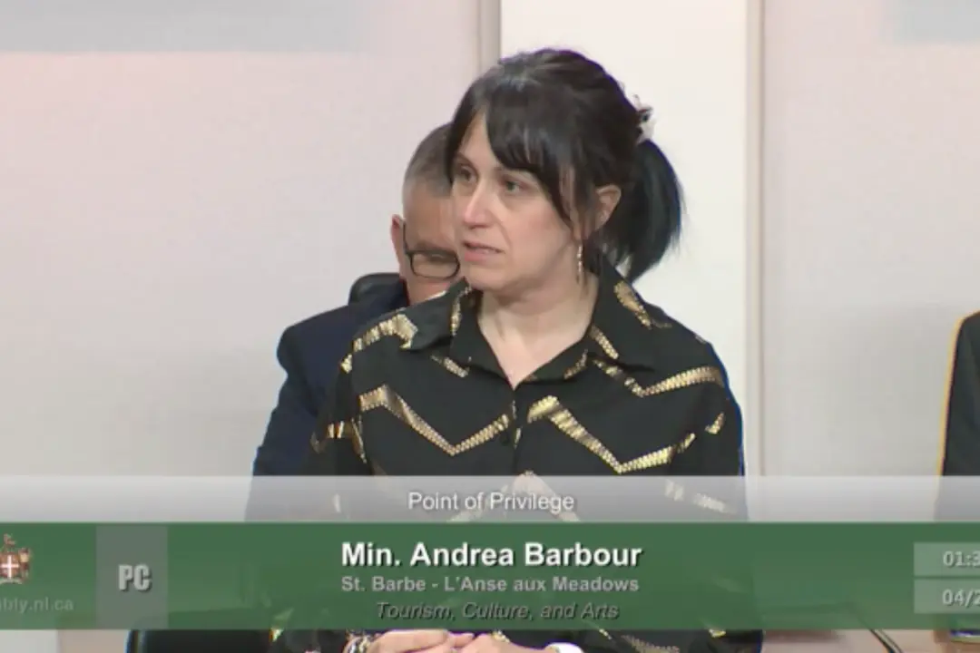 NL Minister Gives Tearful Speech Following Backlash Over AI Image That Removed Statue Honouring Veterans