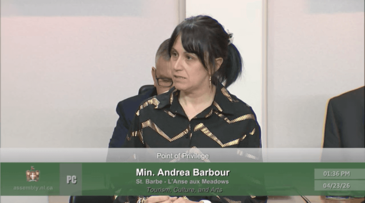 NL Minister Gives Tearful Speech Following Backlash Over AI Image That Removed Statue Honouring Veterans