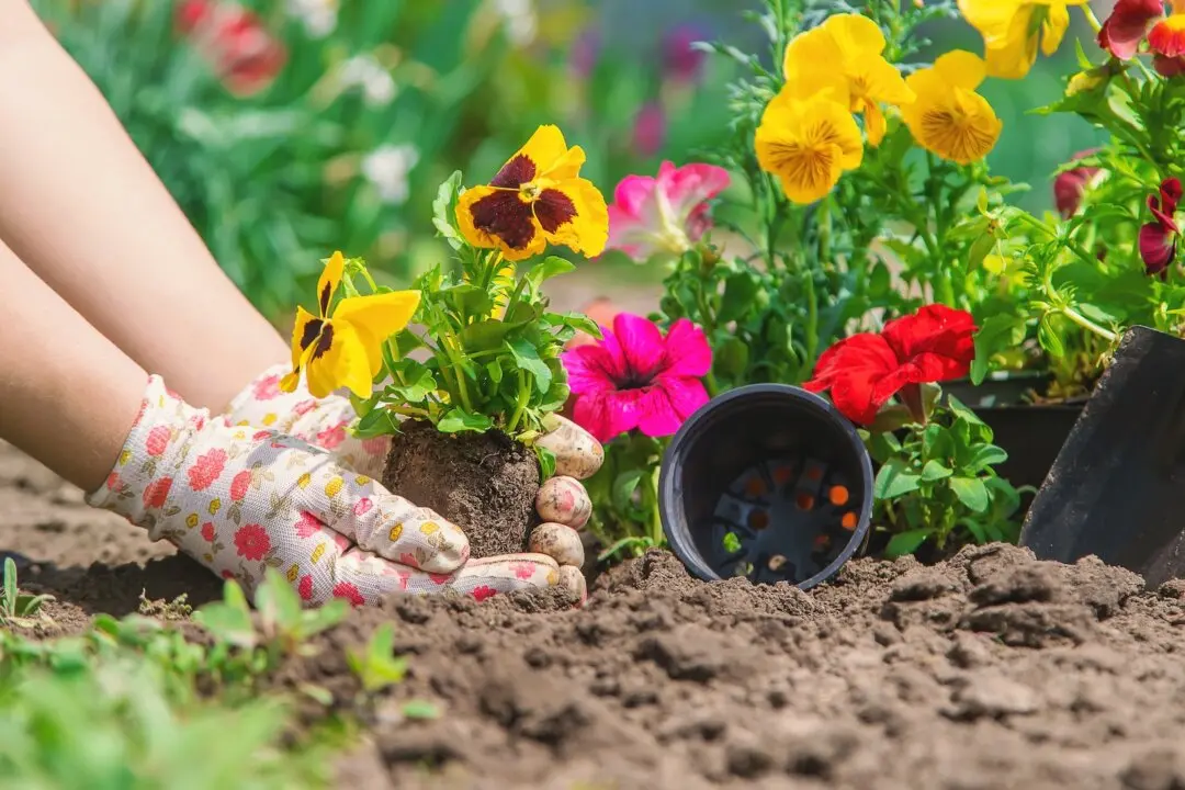 Spring Yard Fixes That Don’t Require a Store Run