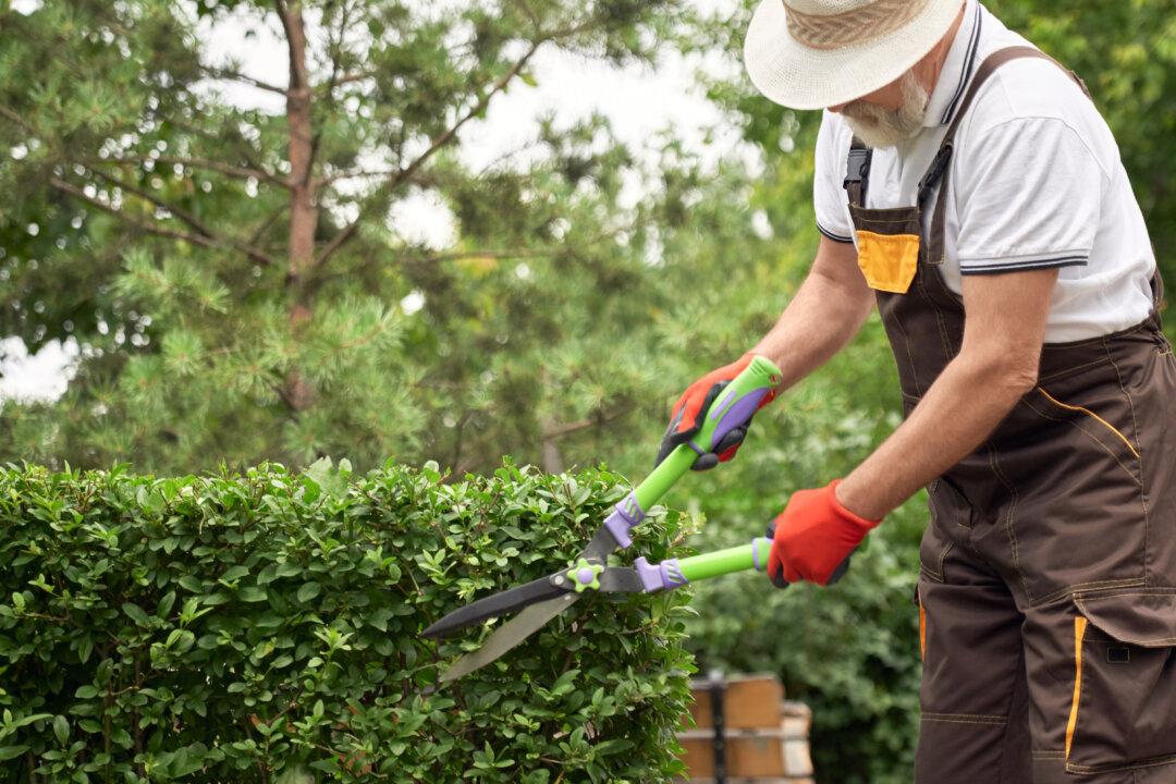Simple Garden Finds for a More Enjoyable Spring