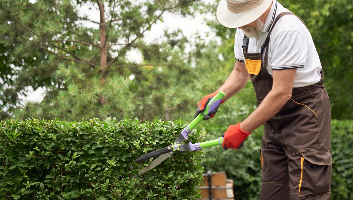 Simple Garden Finds for a More Enjoyable Spring