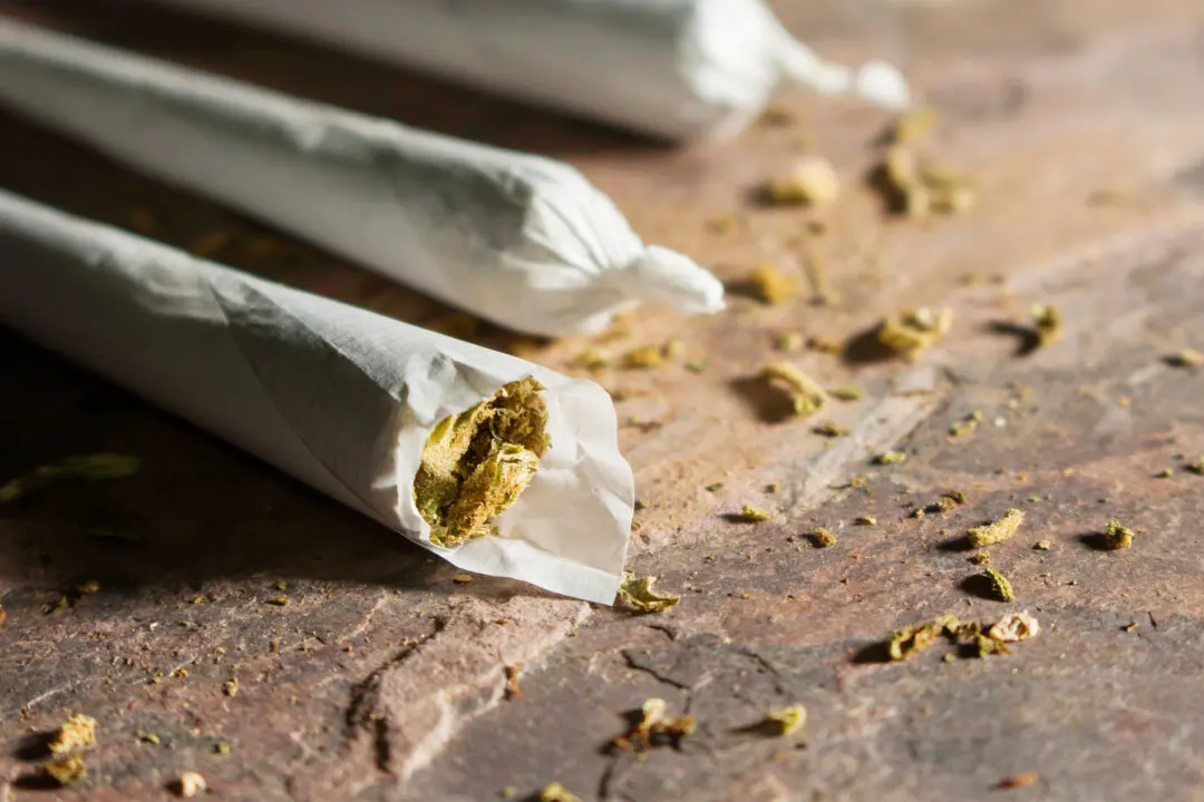 Cannabis Slows Brain Development in Teens, Largest US Study Shows