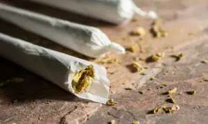 Cannabis Slows Brain Development in Teens, Largest US Study Shows