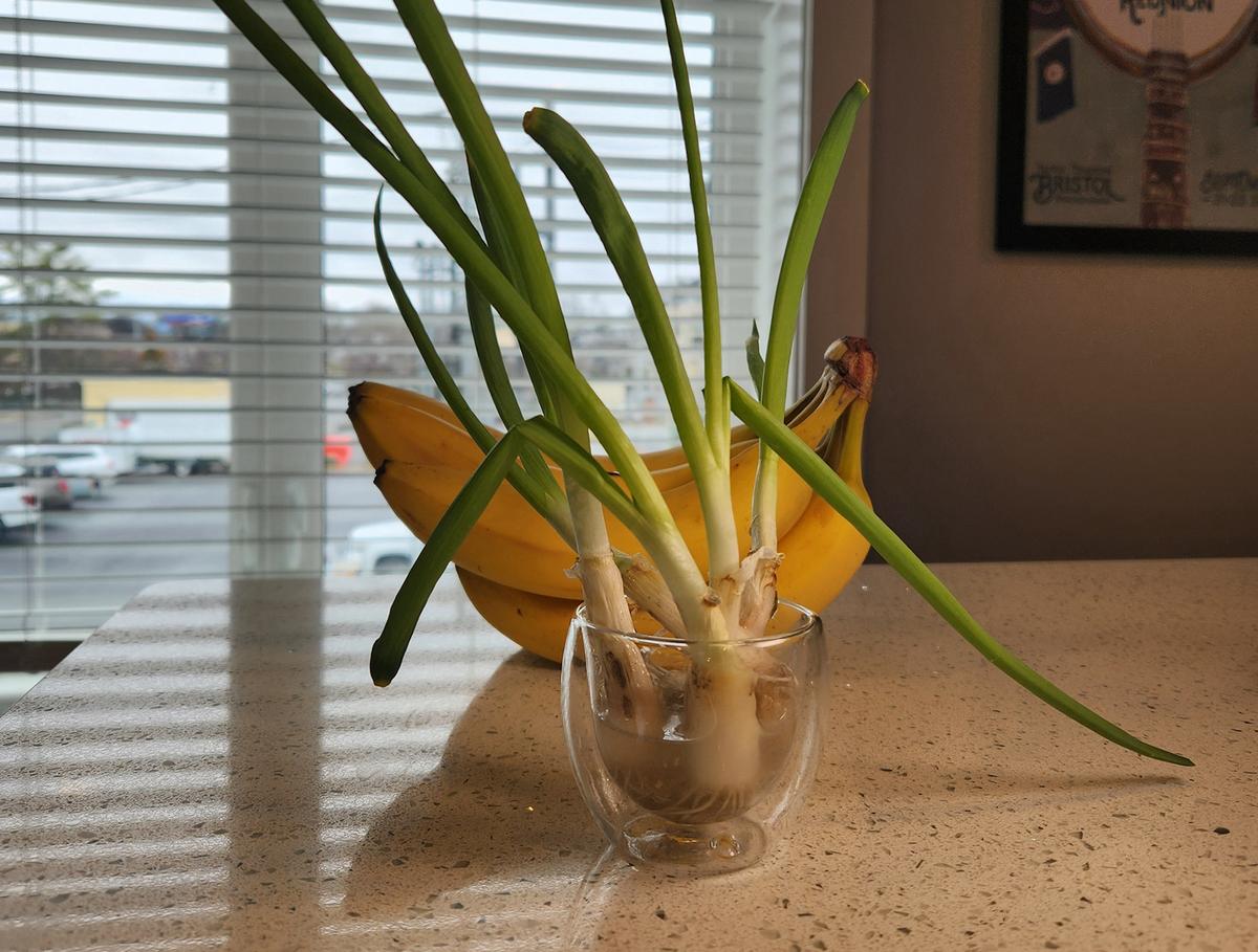 Homesteading for Nomads