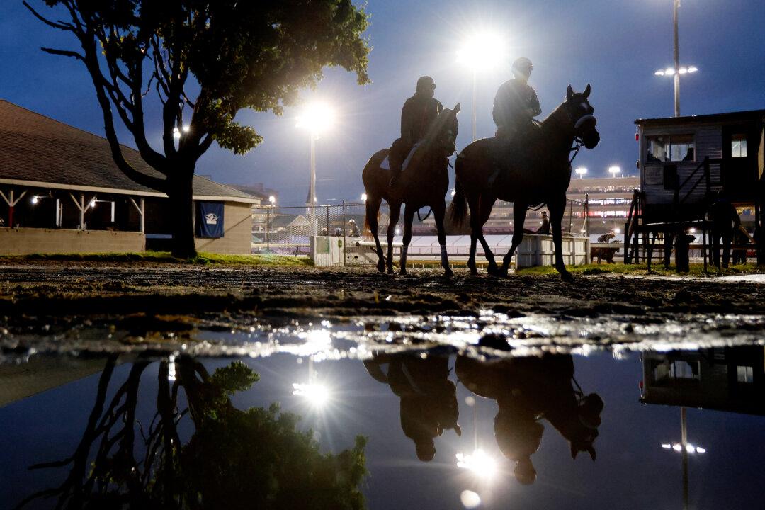 Horses return to the barn area during morning workouts ahead of the running of the 152nd Kentucky Derby at Churchill Downs in Louisville, Kentucky, on April 29, 2026 . (Michael Reaves/Getty Images)