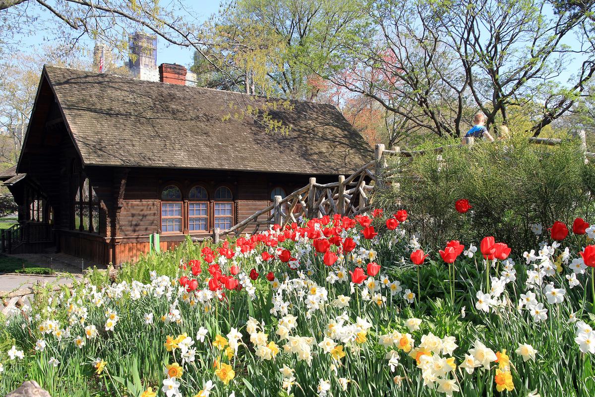 Blooming flowers add to the serene and romantic atmosphere in New York City's Shakespeare Garden, making it a popular venue for weddings. (Ingfbruno/CC BY-SA 3.0)