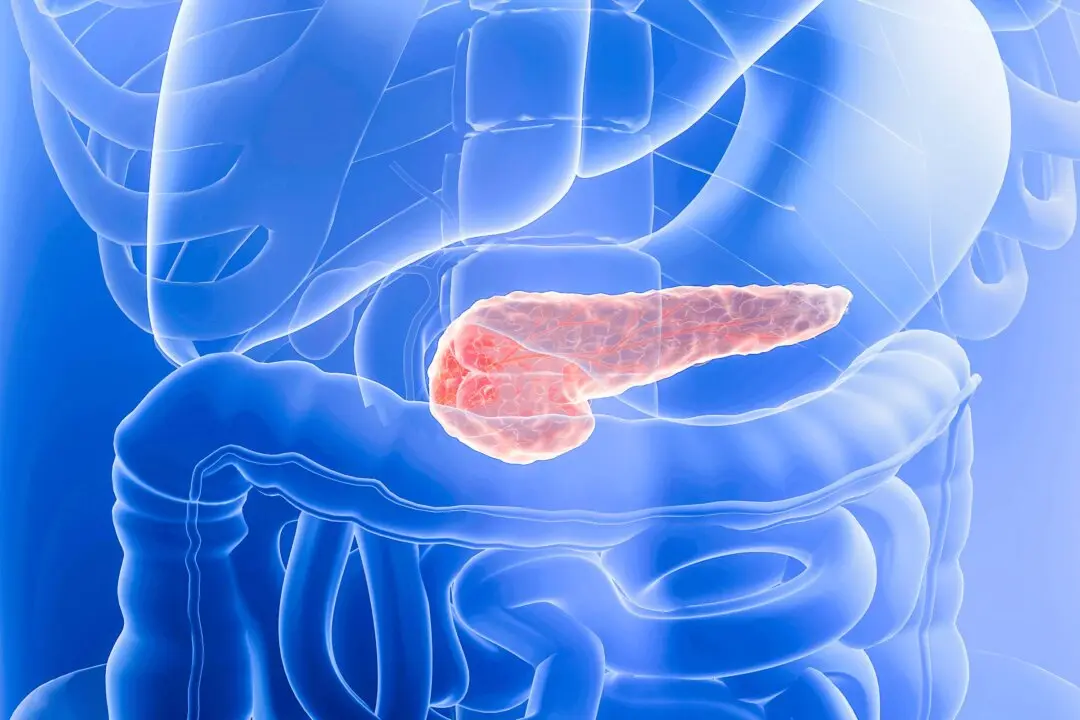 New Pancreatic Cancer Drug Reduces Risk of Death by 60 Percent
