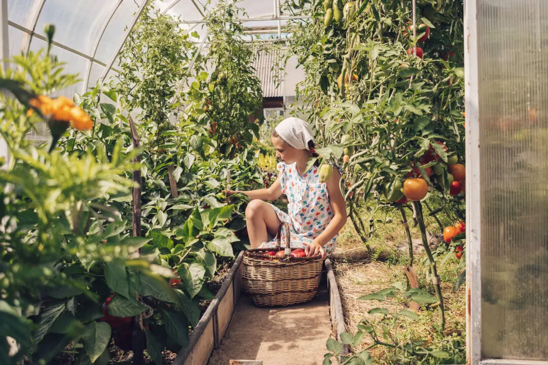 The 10 Laws of Gardening