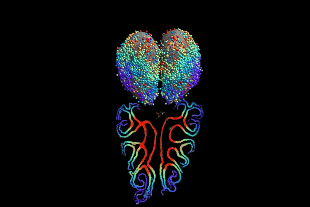 Scientists Map Smell for the First Time