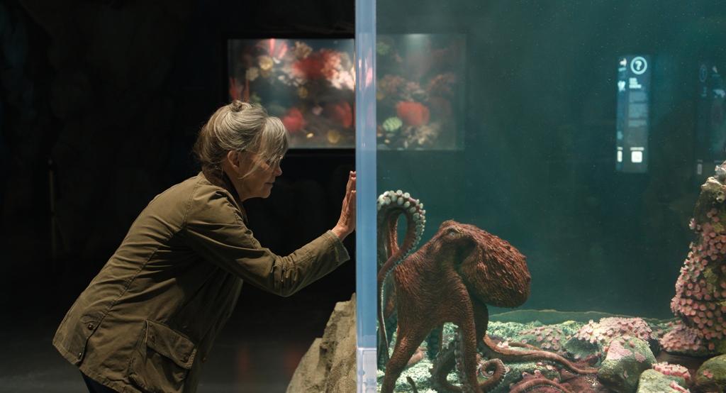 Tova (Sally Field) interacts with a sea creature, in "Remarkably Bright Creatures." (Netflix)