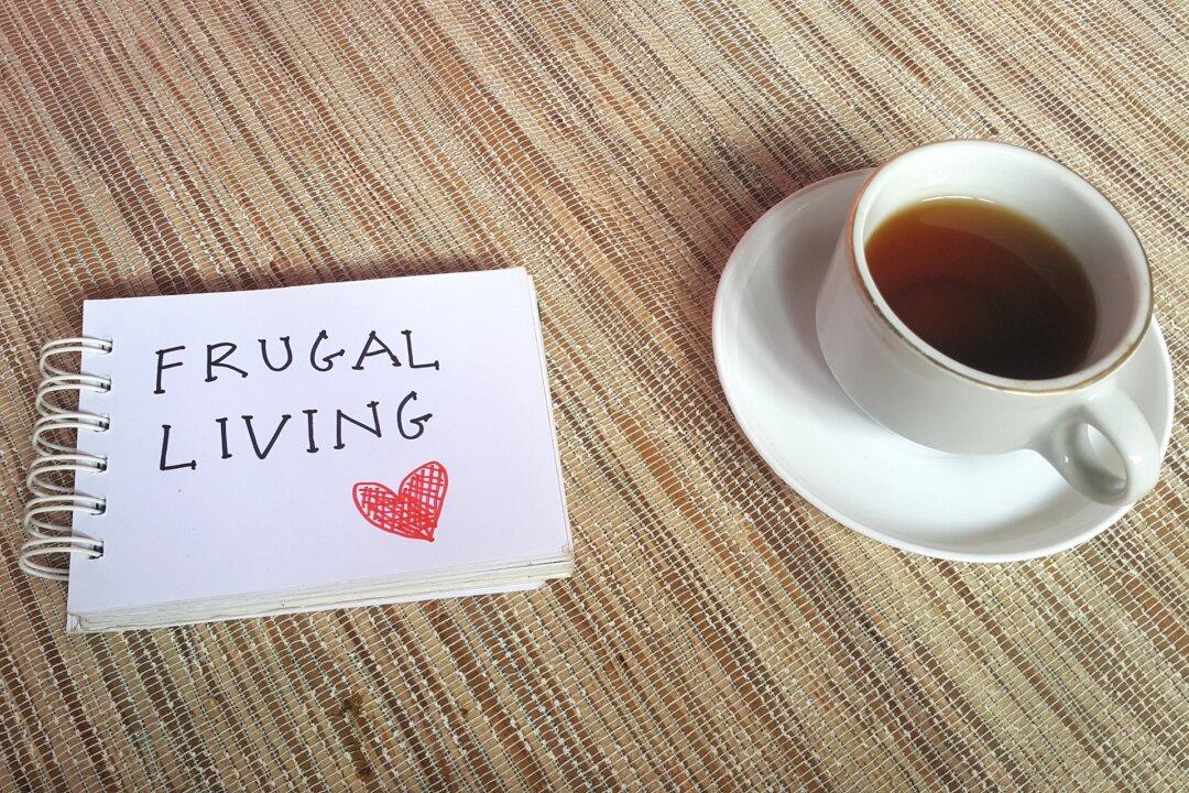 Frugality on the Fun Meter of Life