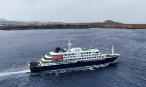 One Canadian Tests ‘Presumptive Positive’ for Hantavirus After Cruise Ship Exposure