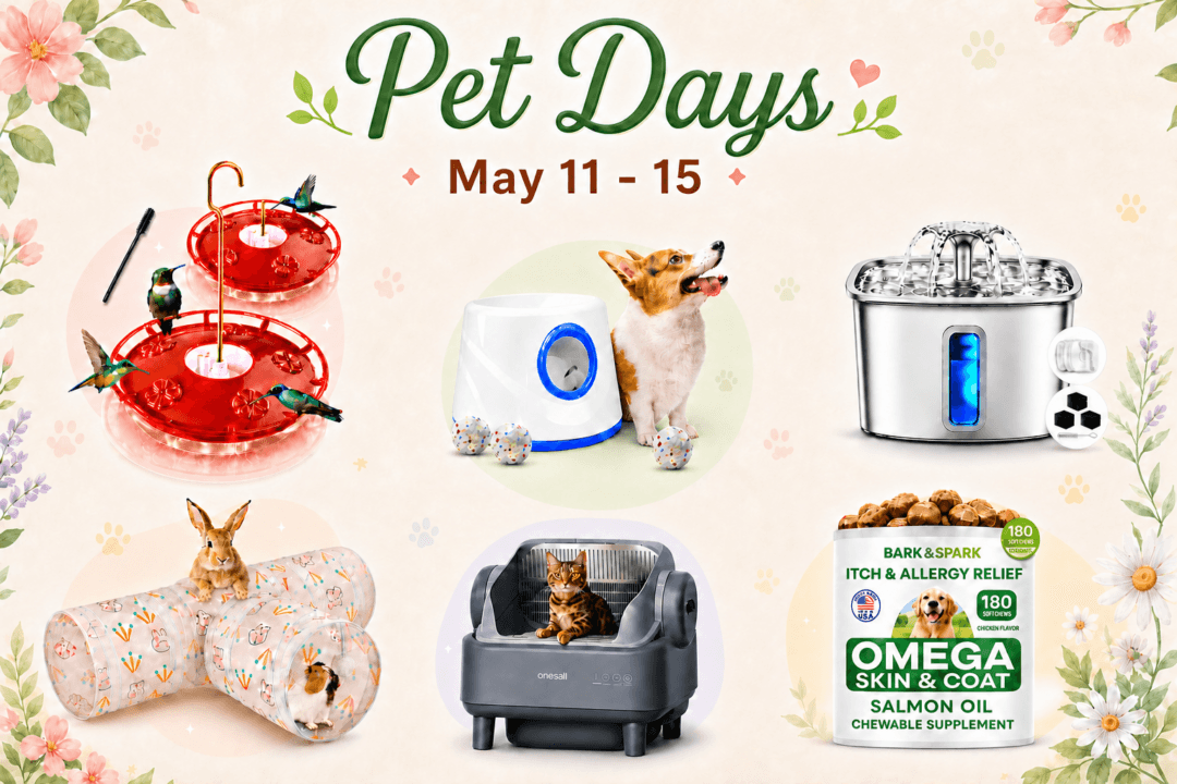 50 Thoughtful Pet Finds to Shop During Amazon Pet Days