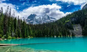 BC Park Schedules 2 Temporary Closures so First Nations Can ‘Connect With the Land’