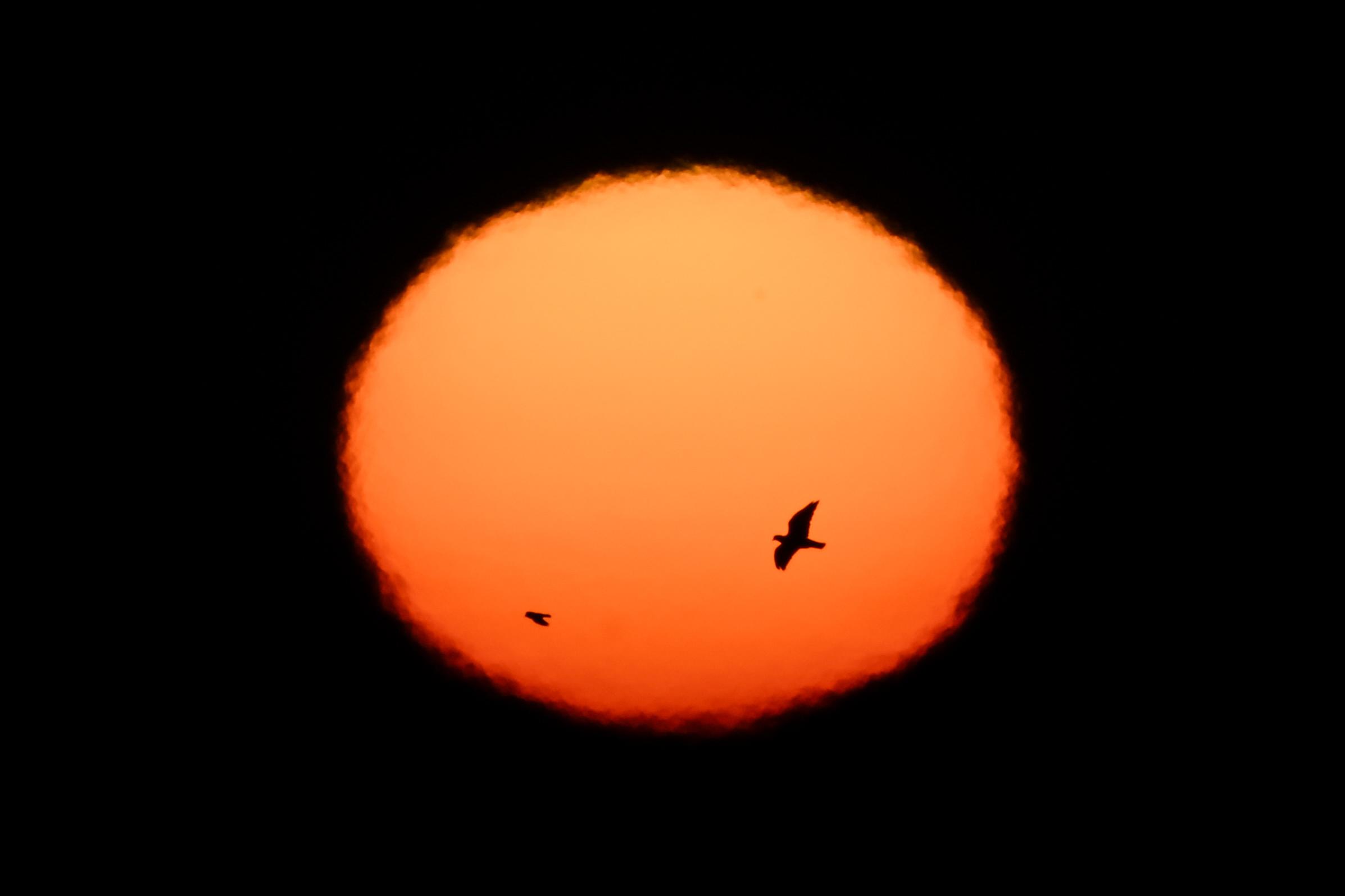 image-6024945