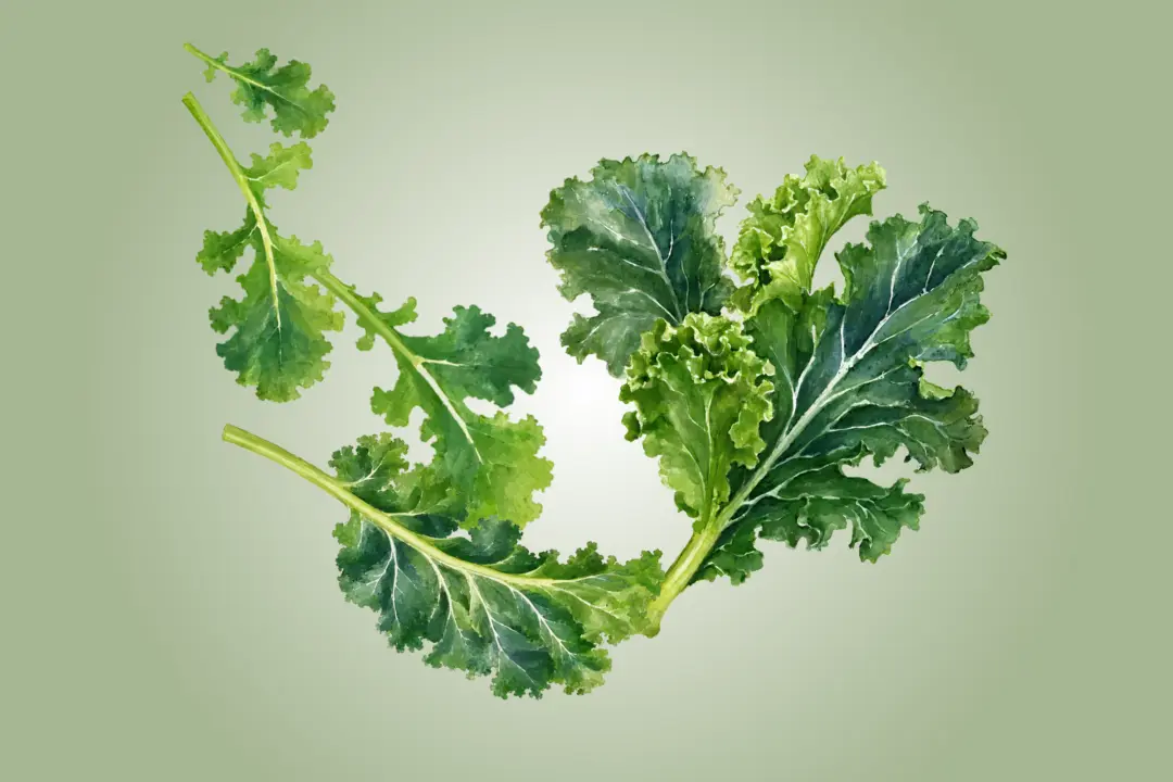 Kale Boosts Vascular Health and Supports Detoxification–How to Maximize Benefits