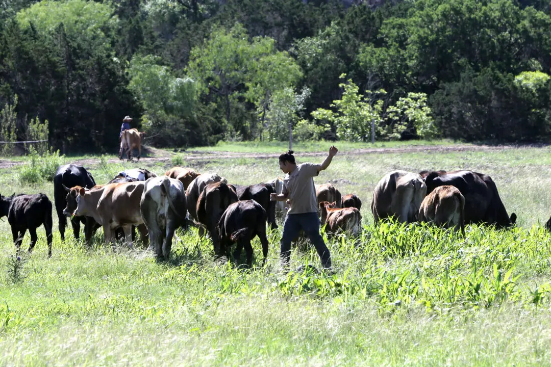 Inside the Farming Movement to Detox America