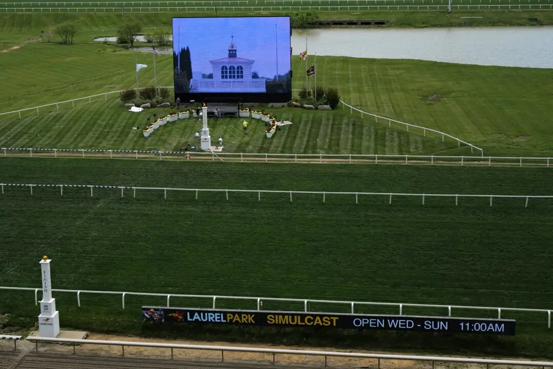 2026 Preakness Stakes: What to Know About the Middle Jewel of the Triple Crown