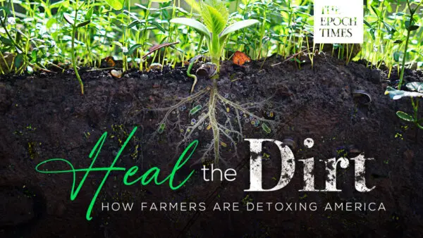 Heal the Dirt: How Farmers Are Detoxing America
