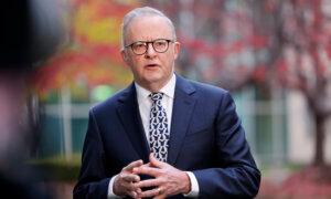 Albanese Says Tax Reforms Needed to Counter Rise of ‘Grievance-Based’ Politics
