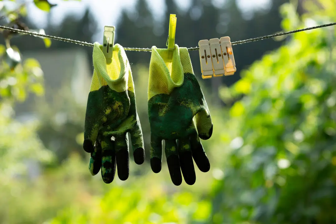Get a Jump on Summer: Garden Tasks for May