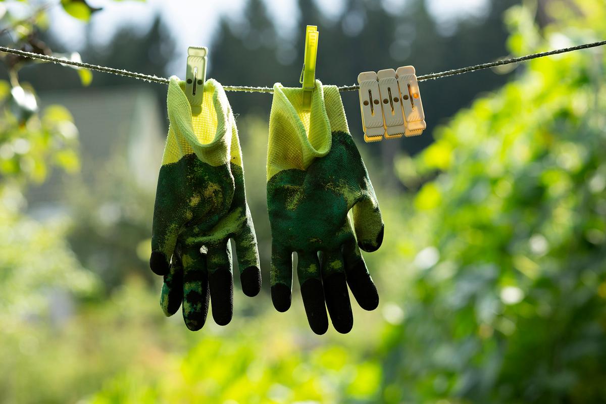 Get a Jump on Summer: Garden Tasks for May