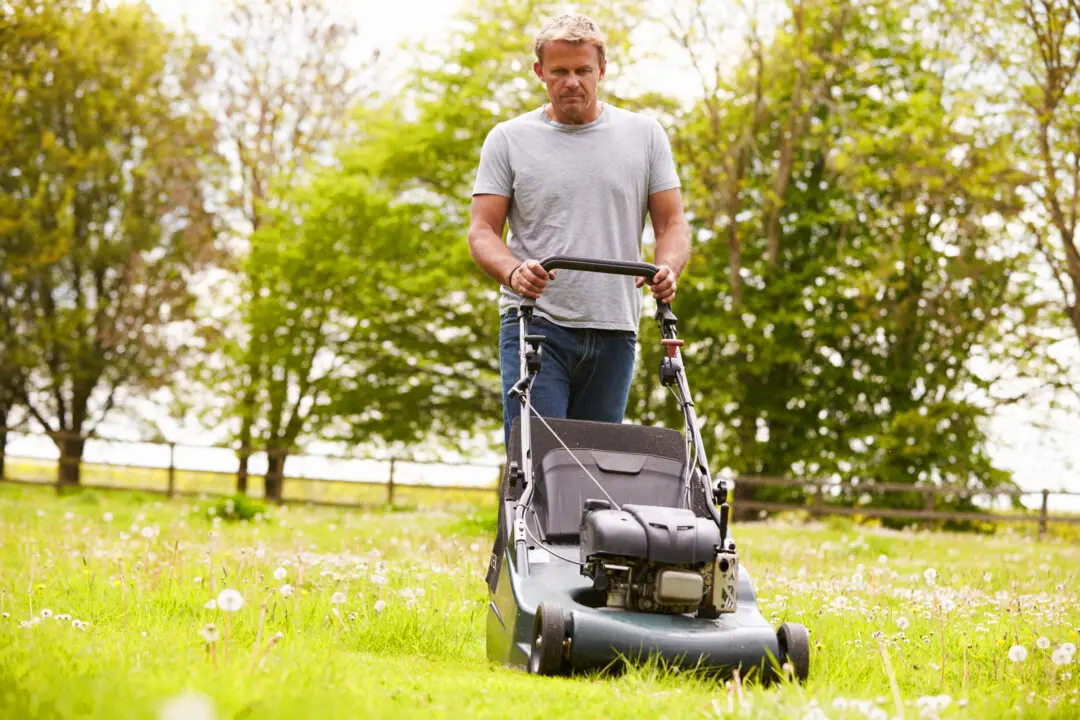 What Are the Most Overlooked Yard Maintenance Tasks?