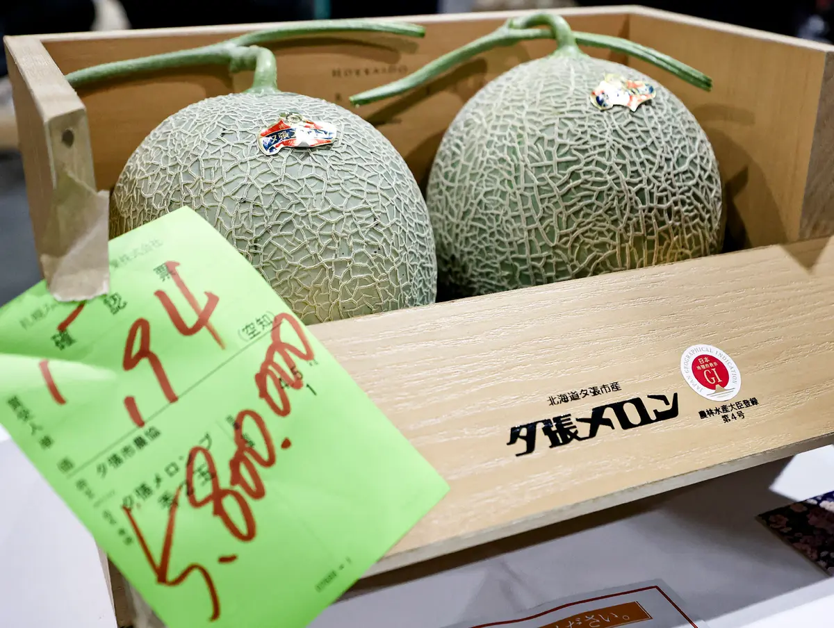 Two Yubari melons that were sold for a record-breaking price of 5.8 million yen (36,400 USD) at the first auction of the year at the Sapporo Central Wholesale Market in Sapporo, Hokkaido Prefecture, Japan, on May 22, 2026. (Jiji Press / AFP via Getty Images) / Japan OUT