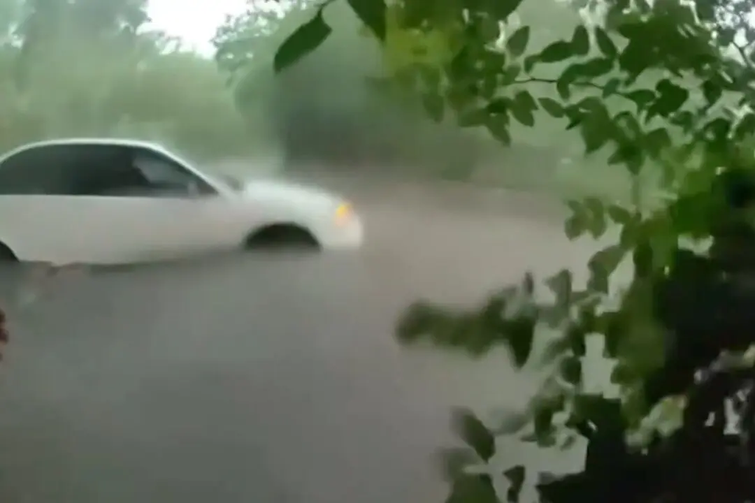 Officer Saves Baby From Flooded Car