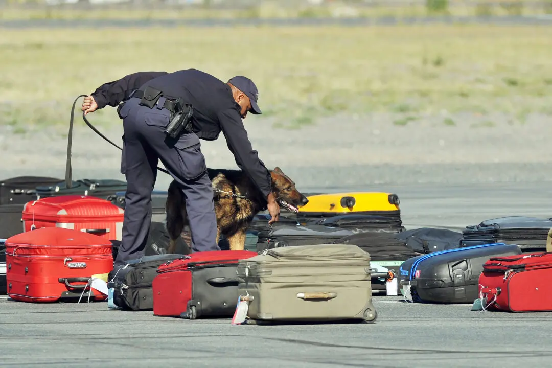 Should You Worry That Your Luggage May Turn Into a Drug Shipment at Canadian Airports?