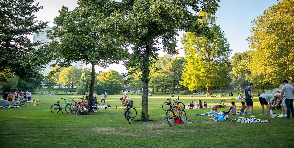 During the rebuilding process after World War II, Rotterdam integrated parks into the city's new layout. (Rawf8/Getty Images)