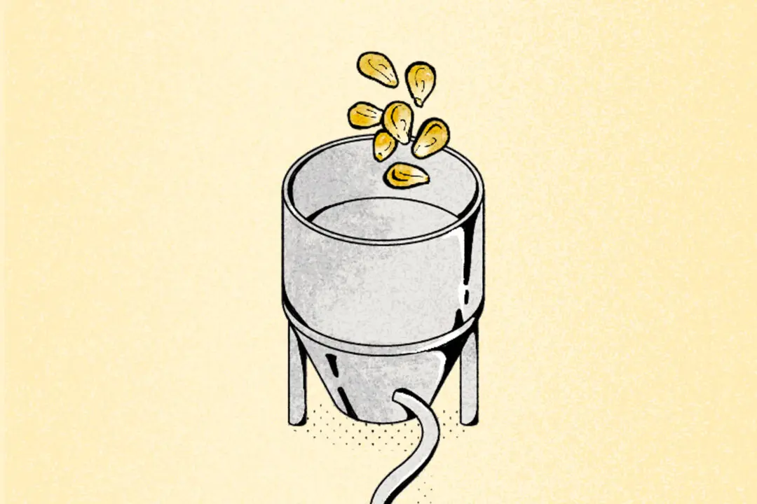 What Processing Actually Does to Food
