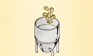 What Food Processing Actually Does to Your Food