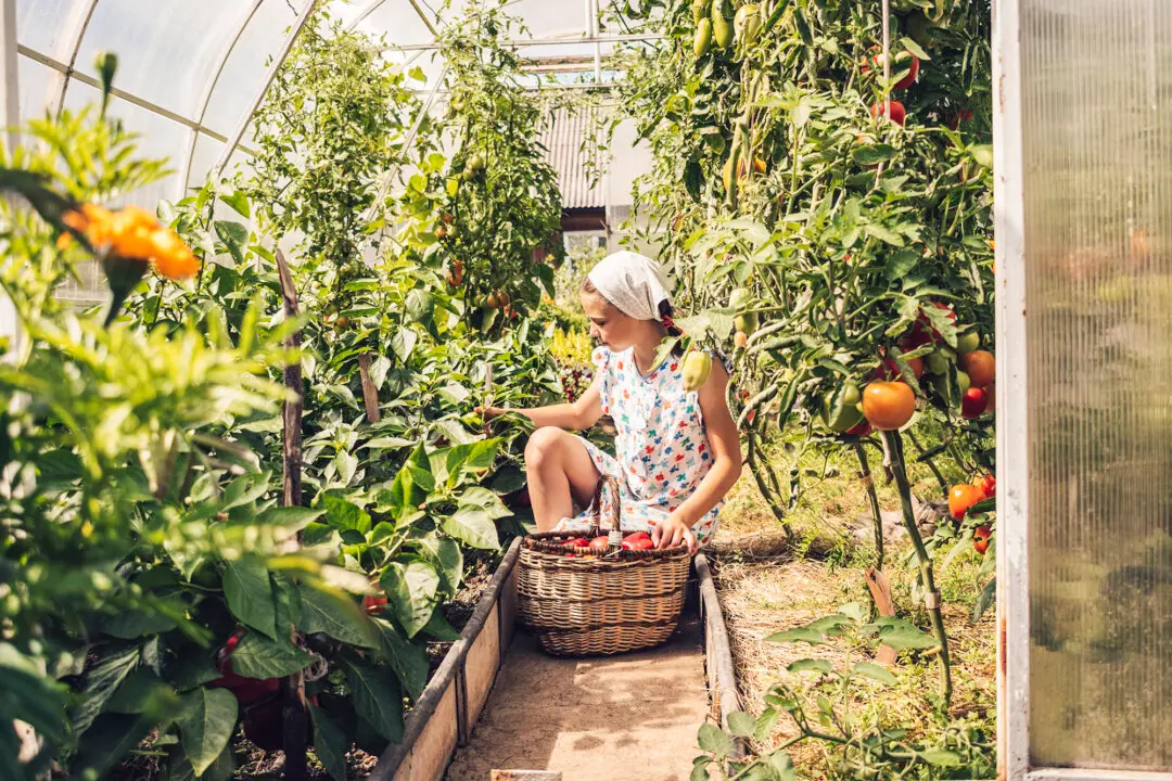 The 10 Laws of Gardening