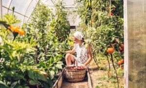 The 10 Laws of Gardening