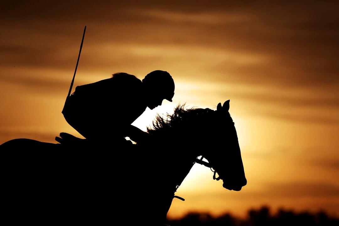 SARATOGA SPRINGS, NEW YORK - JUNE 05: A horse trains on the main track prior to the 158th running of the Belmont Stakes at Saratoga Race Course on June 05, 2026 in Saratoga Springs, New York. (Photo by Al Bello/Getty Images)