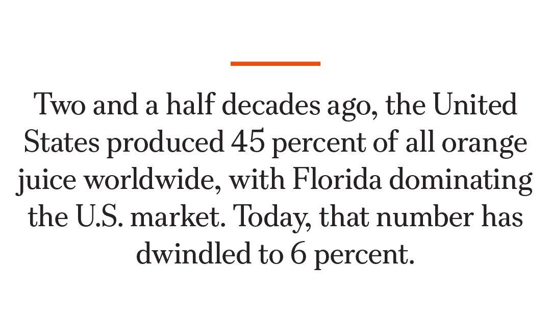 How a Tiny Insect Decimated Florida’s Citrus, and What Orchardists Are Doing About It