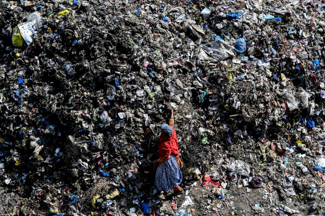 TOPSHOT - A waste picker searches for reusable or recyclable materials at a dumping yard in Lahore on June 5, 2026. (Photo by Arif ALI / AFP via Getty Images)