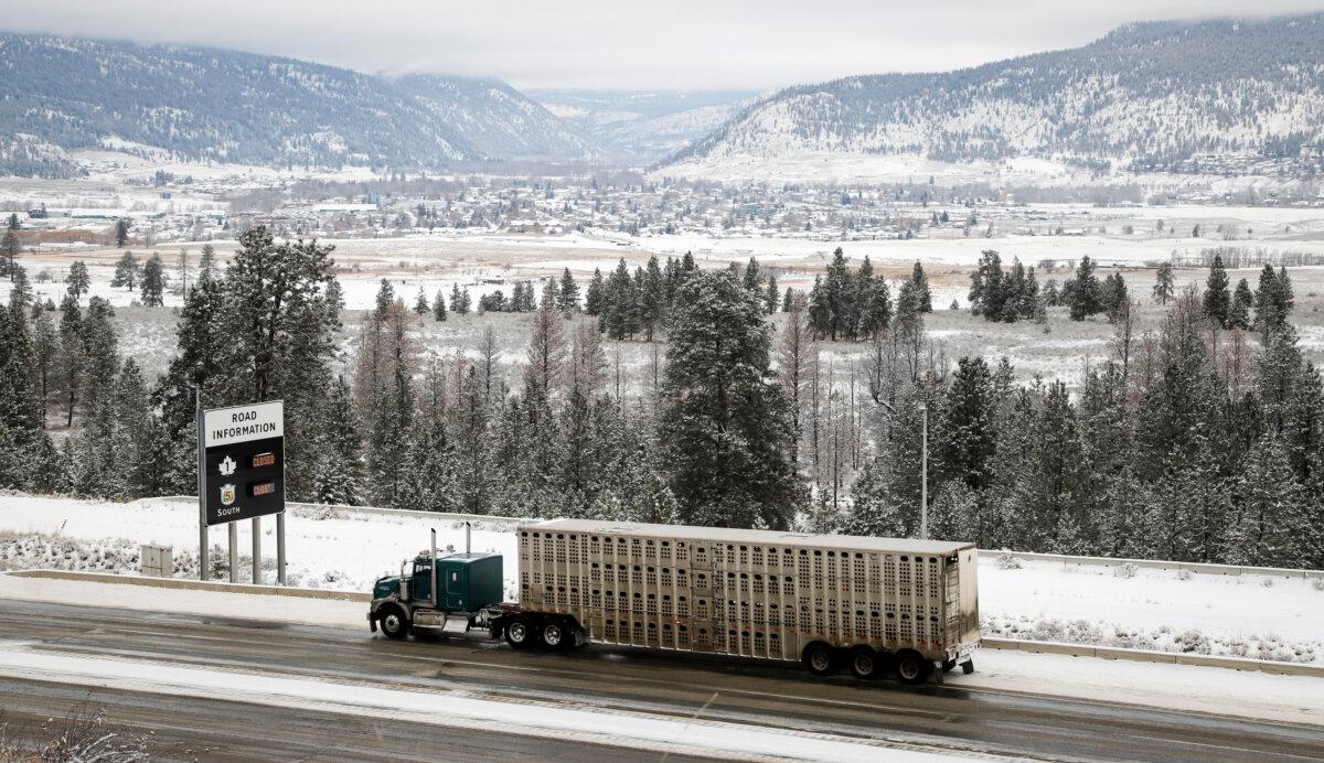A cattle truck travels past the town of Merritt, B.C., on Nov. 19, 2021. (The Canadian Press/Jeff McIntosh)