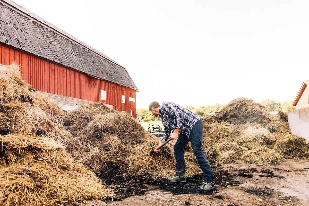 Farm chores typically begin at sunrise, especially on properties with livestock that require daily feeding and care. (Maskot/Getty Images)