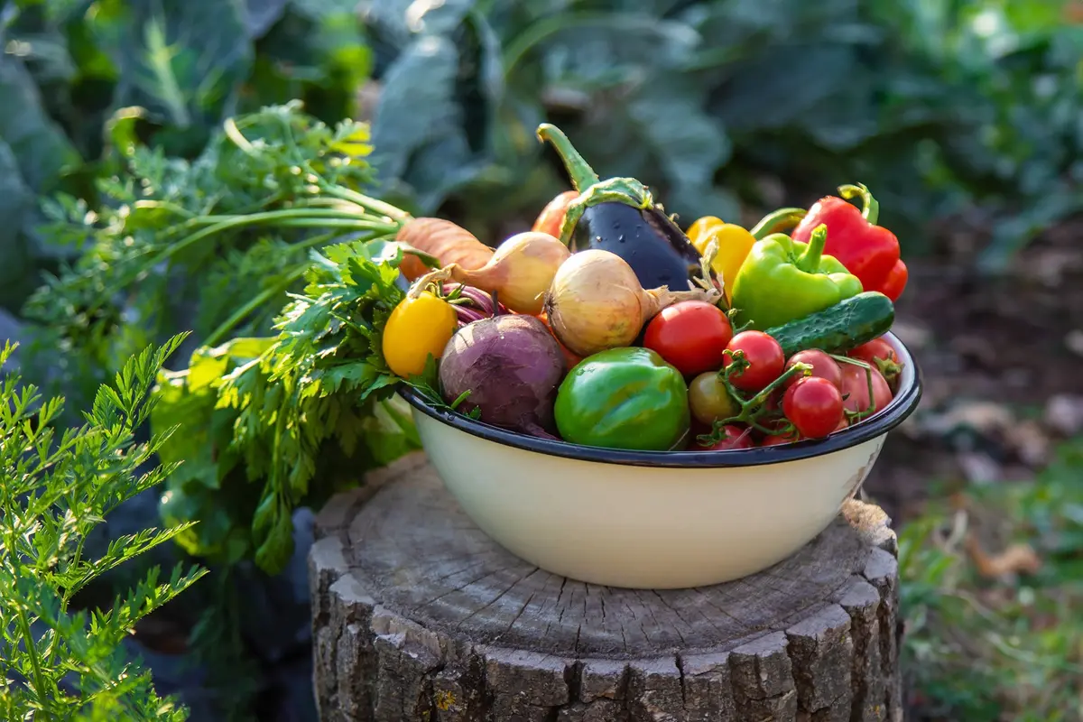 Many rural households incorporate foods raised or grown nearby, including vegetables, fruit, eggs, and locally sourced meat. (Anuta23/Shutterstock)