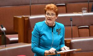 Liberal MP Admits ‘Broken Faith’ Amid Hanson Poll Surge