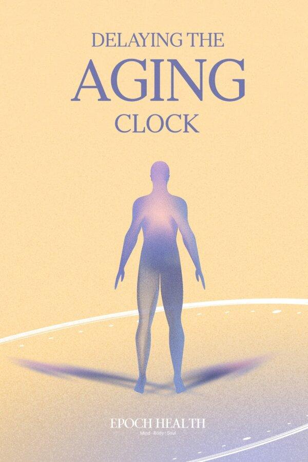 Delaying the Aging Clock
