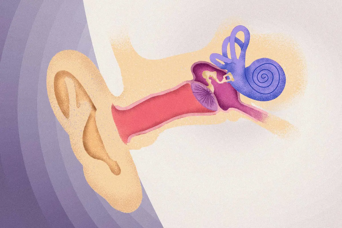 The Real Reason You’re Losing Your Senses–and What to Do About It