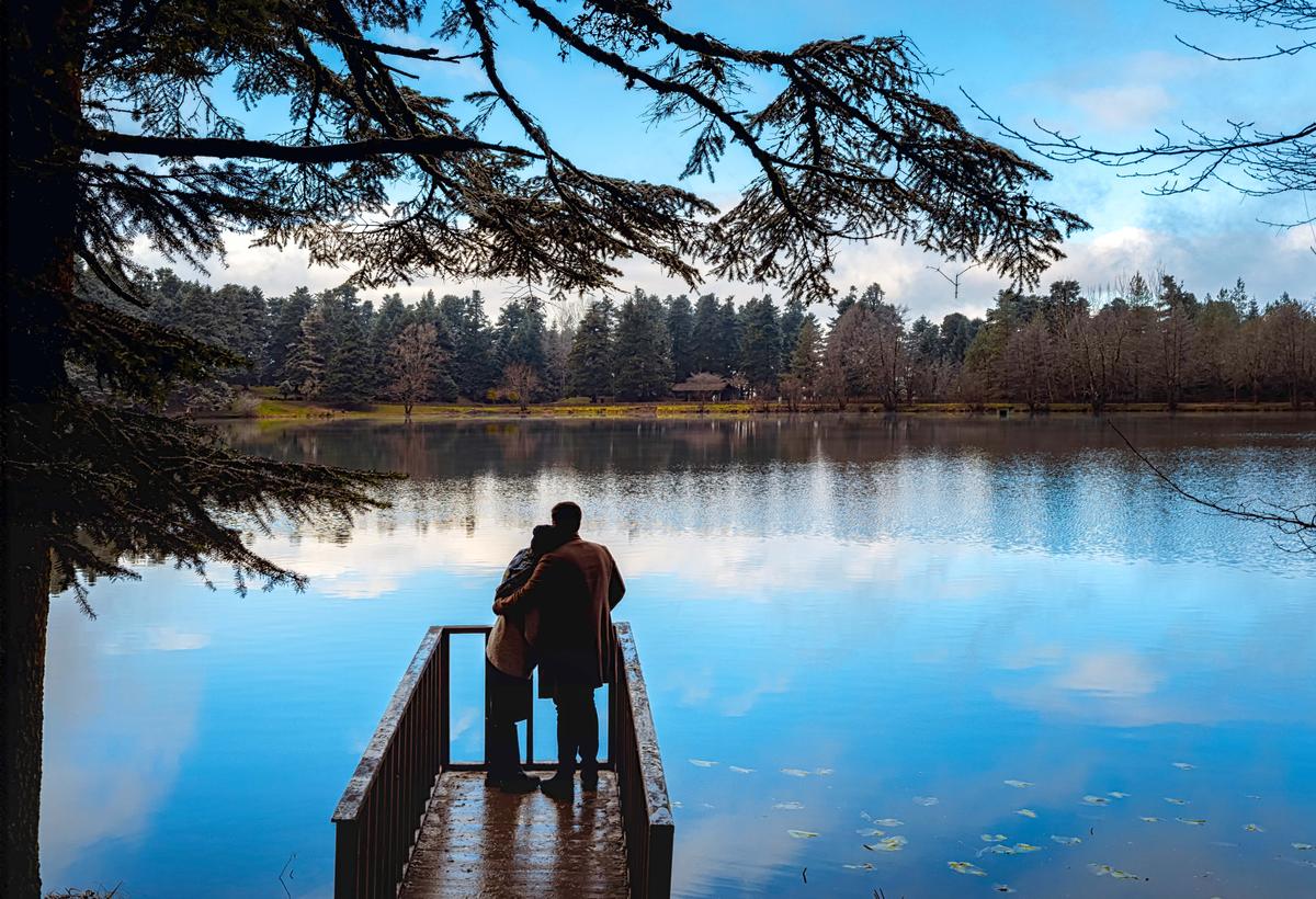 Love is a slow process of discovery, demanding time, stability, and the capacity to be still. (Abdullah Durman/Shutterstock)