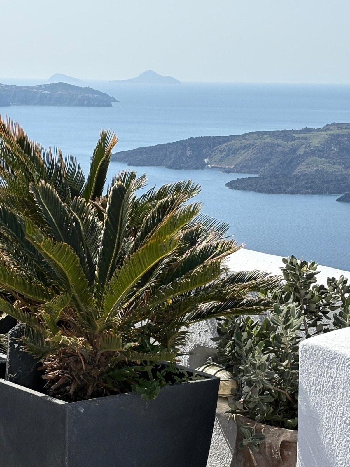 The port of Rhodes was an excellent place to sample authentic Greek food. (Georgeanne Brennan)