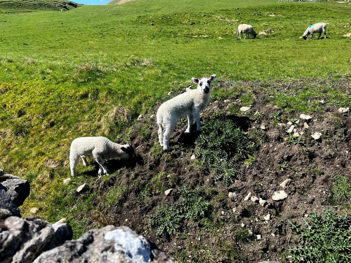 My Pilgrimage to Yorkshire—and Why You Should Take the Trip of Your Literary Dreams
