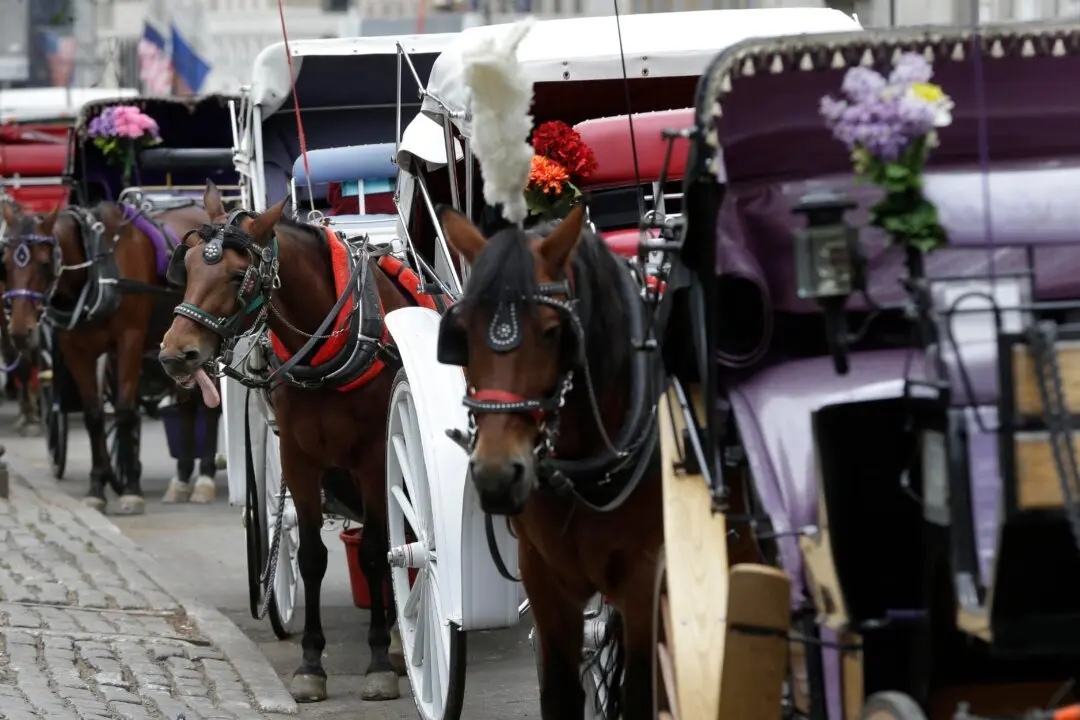 Teenager Dies After Being Thrown From Horse-Drawn Carriage in NYC’s Central Park